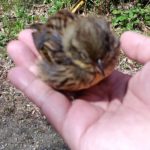 引き寄せの法則を論理的に考えてみる