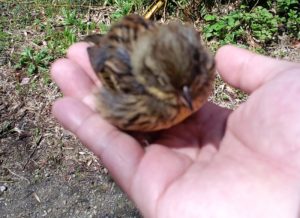 引き寄せの法則を論理的に考えてみる