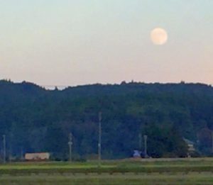 先祖のタタリは存在するのか？