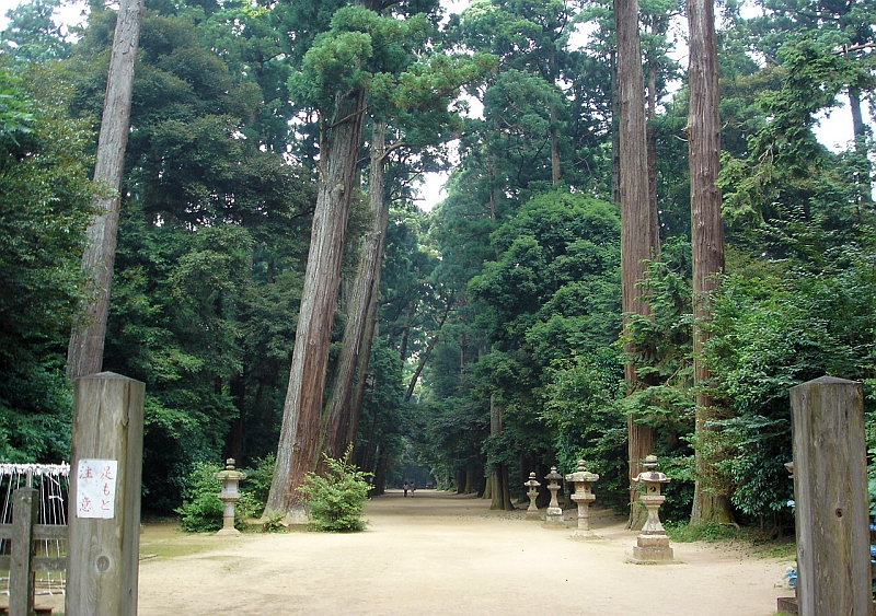 鹿島神宮の奥宮へ向かう森