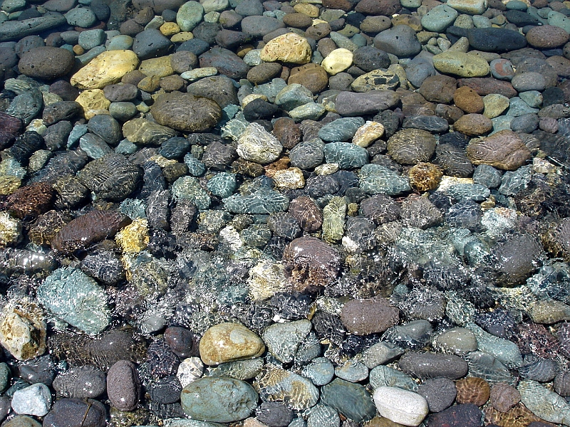 知床の澄んだ海