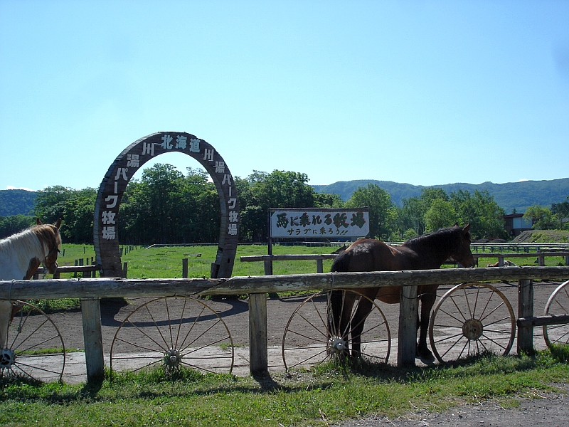 北海道川湯パーク牧場