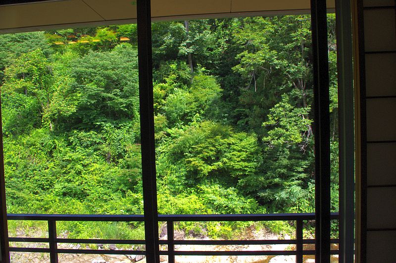 部屋からの景色(かやぶきの郷薬師温泉 旅籠)