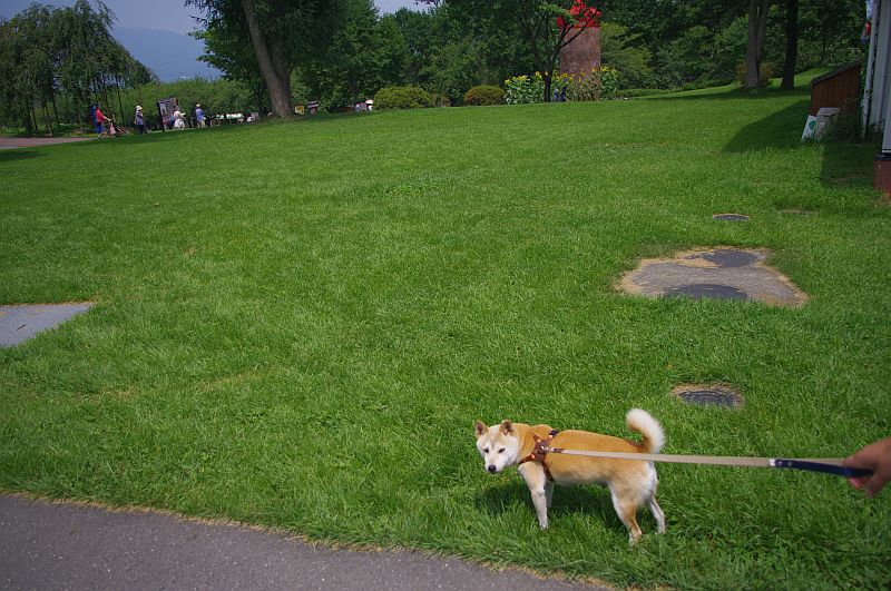 伊香保牧場(犬OK)
