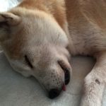 予知夢は本当にあるのか？ていうか何度か見てるよ…