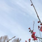 下ネタを言う人の心理