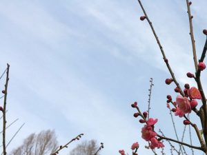 下ネタを言う人の心理