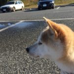 人生はシンプルだということに多くの人が気が付き始めている