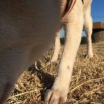 なんのための引き寄せの法則・成功法則か考える