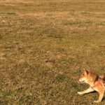 引き寄せの法則は、もう古い