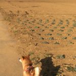 人生には波があることを知ると強く生きられる