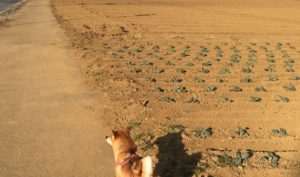 人生には波があることを知ると強く生きられる