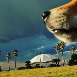 コツは短期的にネガティブ、長期的にポジティブ