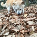 人生やり直しは、何歳でも、いつでも、明日からでも可能です