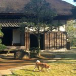 チャネリングは「ボーっとする」ことで誰でもできるようになる説