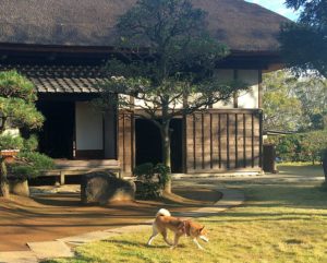 チャネリングは「ボーっとする」ことで誰でもできるようになる説