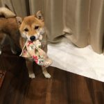 優しい人ばかりの職場は存在するのか？