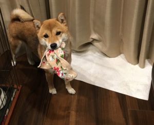 優しい人ばかりの職場は存在するのか？