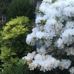 葬儀の準備と費用