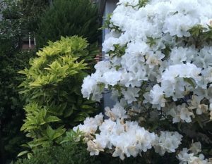 葬儀の準備と費用