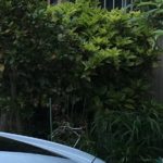 役所や預金の手続、お布施や仏壇、お墓はどうする？