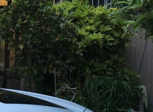 役所や預金の手続、お布施や仏壇、お墓はどうする？