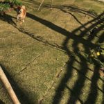 相手からナメられないようにする方法