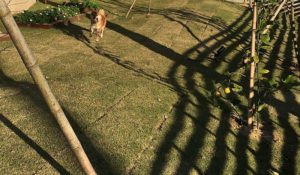 相手からナメられないようにする方法