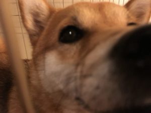 一番賢い生き方は、すぐに自殺することなのか？