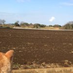 前世や生まれ変わりはあるの？科学的に検証！