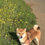 エナジーバンパイアなんていませんよ