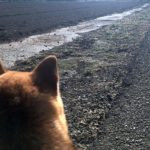 体外離脱とクンダリーニの共通点