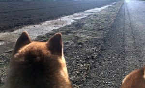 体外離脱とクンダリーニの共通点