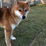 霊が見える人には特徴があるのか？