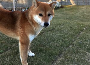 霊が見える人には特徴があるのか？