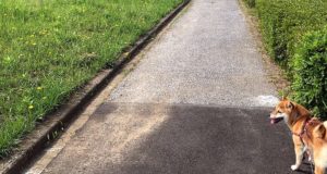 僕の前世の話（過去のトラウマの消去）