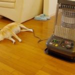 土地のパワーを体験した話（後編）