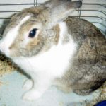 土地のパワーを体験した話（前編）