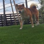 なぜ自然災害が起こるのか（スピリチュアル思考で考えると間違える）