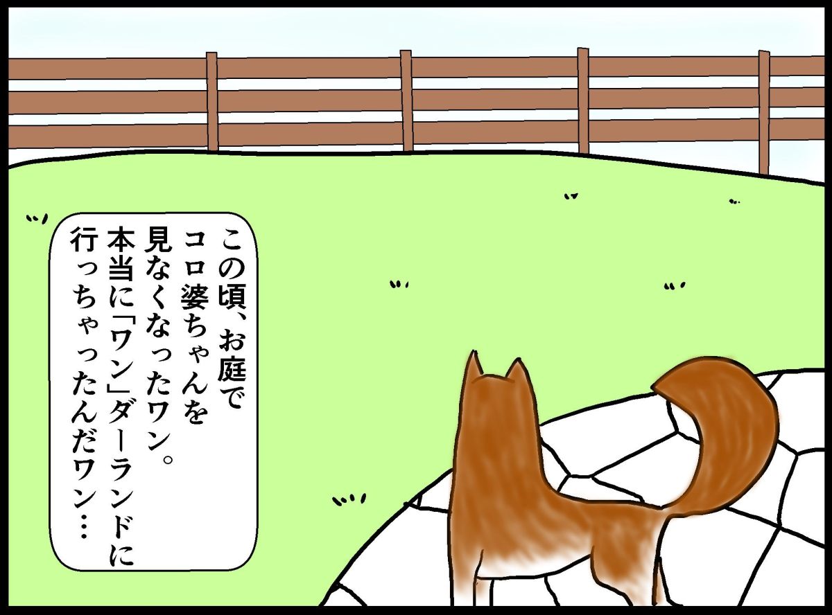 犬は歳をとると動かなくなる