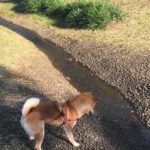 スピリチュアル系パラドックス