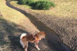 スピリチュアル系パラドックス