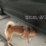 子供の頃に「なぜか怖かった」テレビ番組まとめ