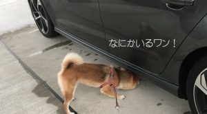 子供の頃に「なぜか怖かった」テレビ番組まとめ