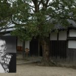 犬飼氏の由来（里見八犬伝）