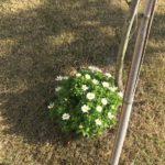 正義感で損をするのではなく価値観の押し付けで損をする