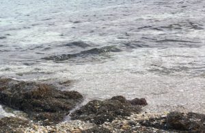 不倫は想像力の欠如だと思うんですがどうでしょ？