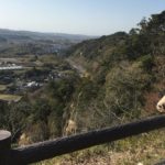 人生は逆張りでうまくいくのか？