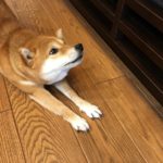 アセンション来る来る詐欺