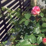 ２ちゃんねるの予言